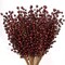 Set of 24: Burgundy Holly Berry Stems with 35 Lifelike Berries | 17-Inch | Festive Holiday Decor | Trees, Wreaths, &#x26; Garlands | Christmas Picks | Home &#x26; Office Decor